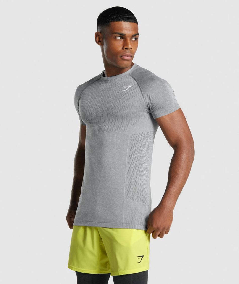 T Shirts Gymshark Vital Light Seamless Hombre Gris | CO 3384KOR